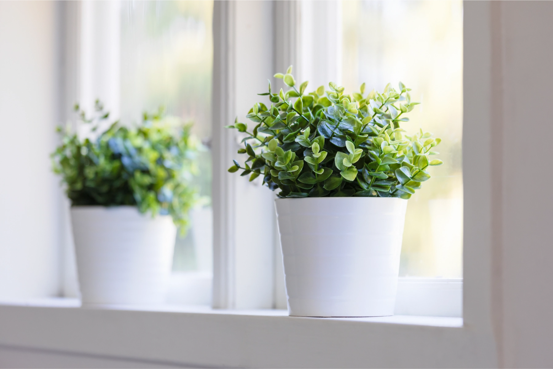 Wards of Kent-Accreditation