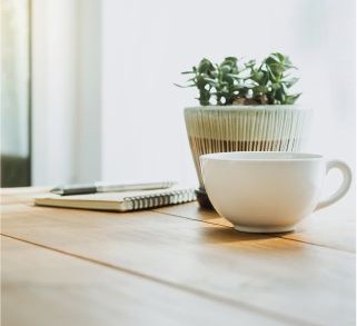 Wards of Kent-Career